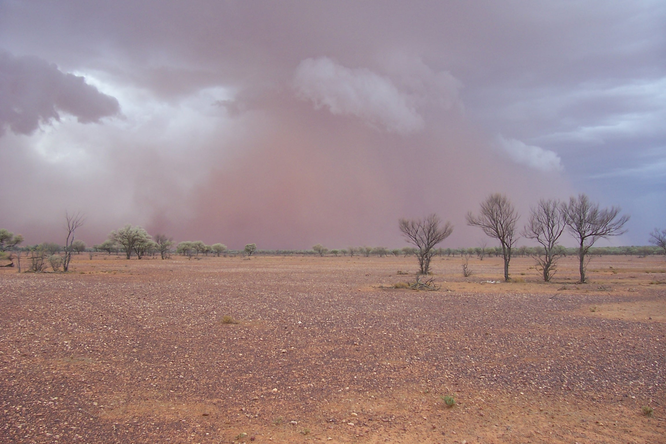 Shower with Dust Storm in distance