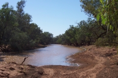 Bellalie Creek after rain