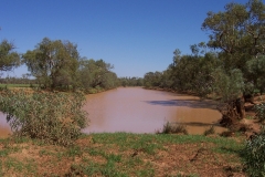 Bellalie Creek in Flood