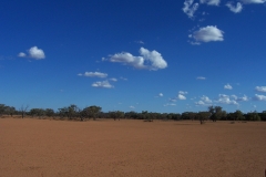 Land restoration