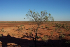 Looking across the land